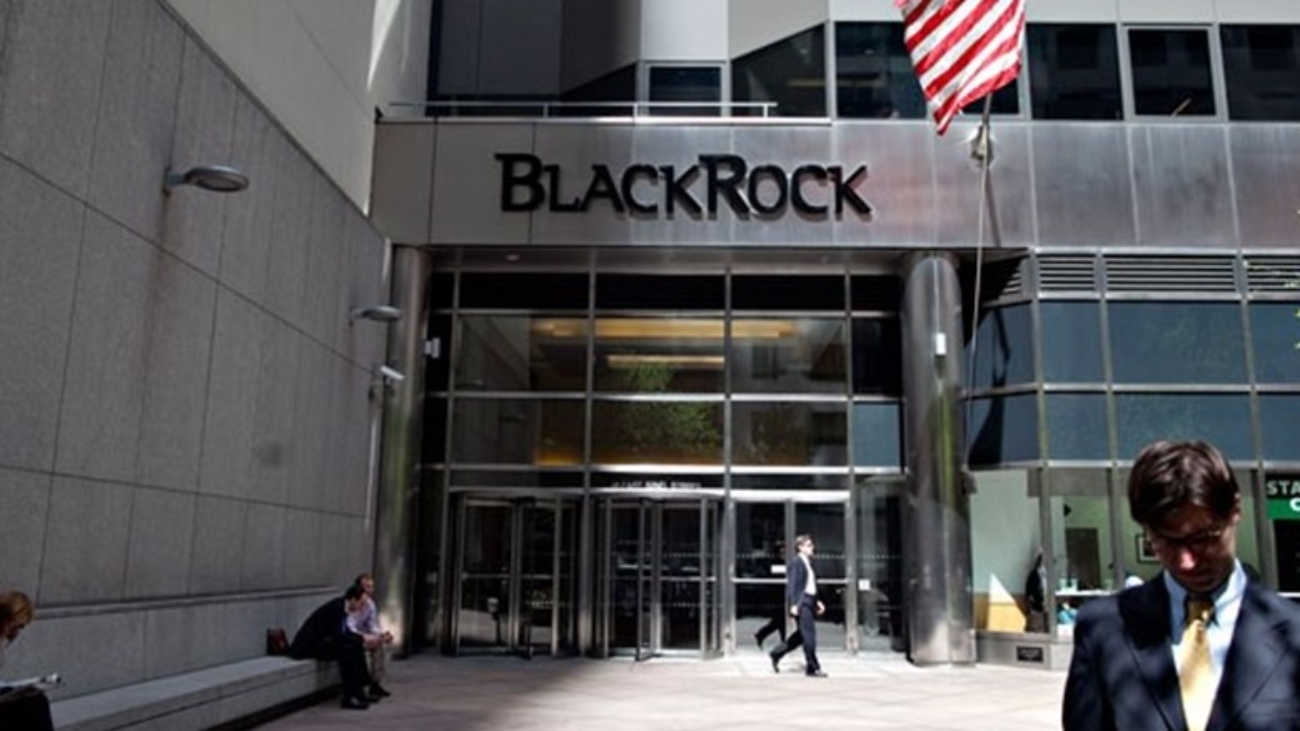 BlackRock Long Term Private Capital to acquire UK pensions software ...